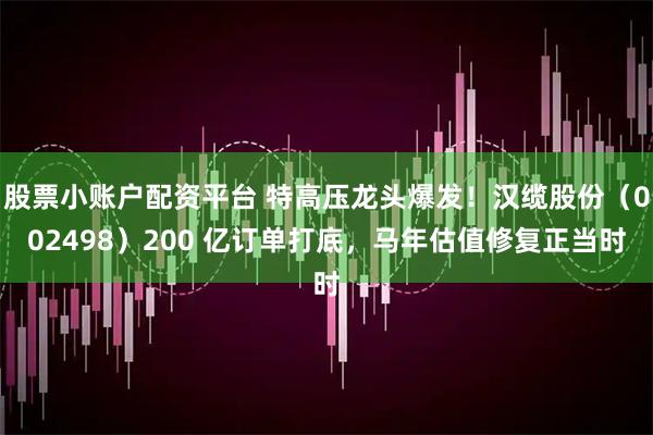 股票小账户配资平台 特高压龙头爆发!汉缆股份(002498)200 亿订单打底,马年估值修复正当时